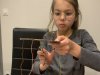 Construction-Clélia
