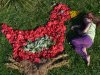 Briseis-et-sa-poule