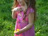 BRISEIS