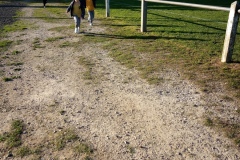 IMG_20251014_102244_929